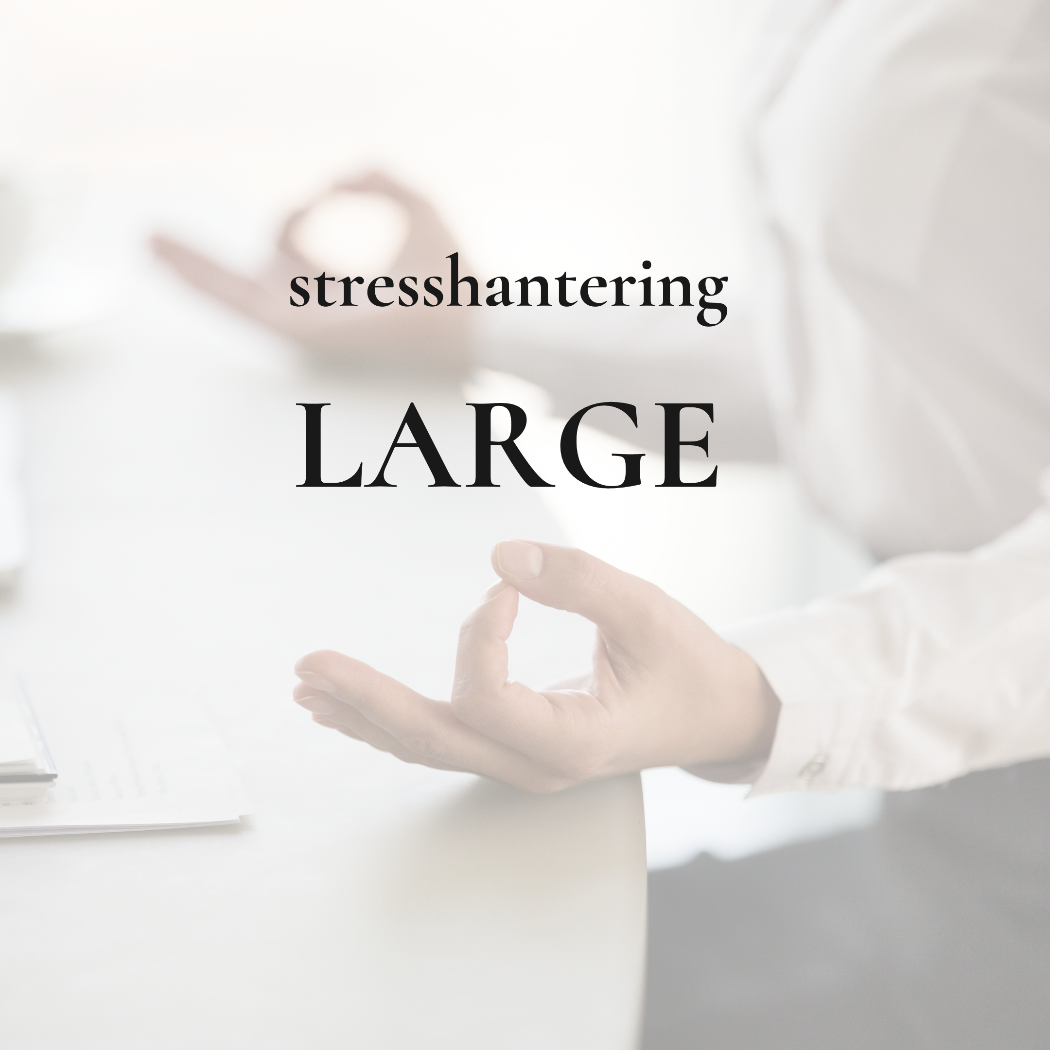 Large företag