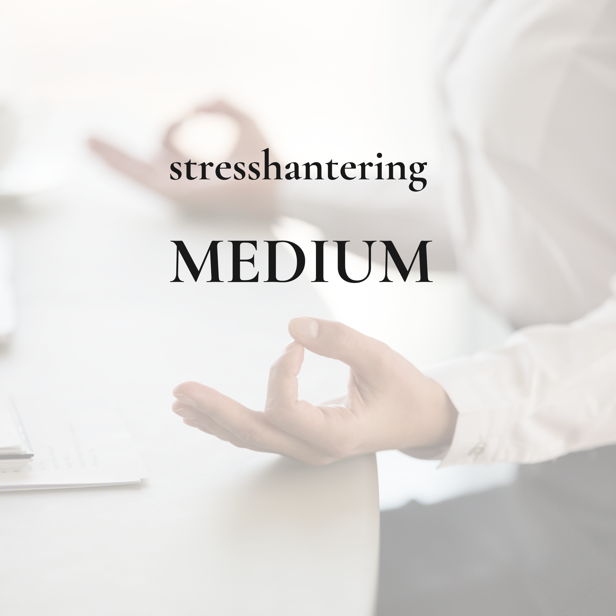 medium företag